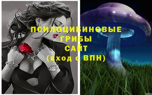 а пвп мука Богородицк