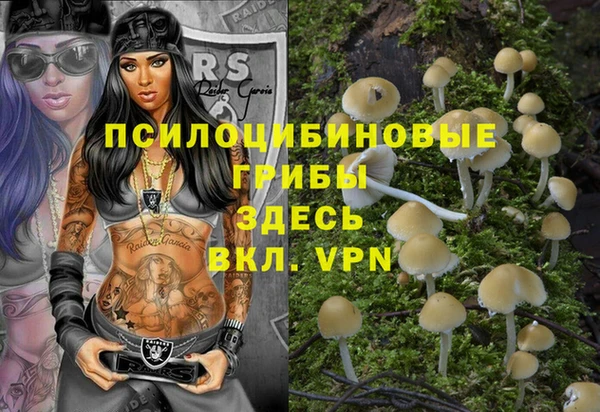 альфа пвп Богданович